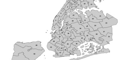 NYC City Council District Map